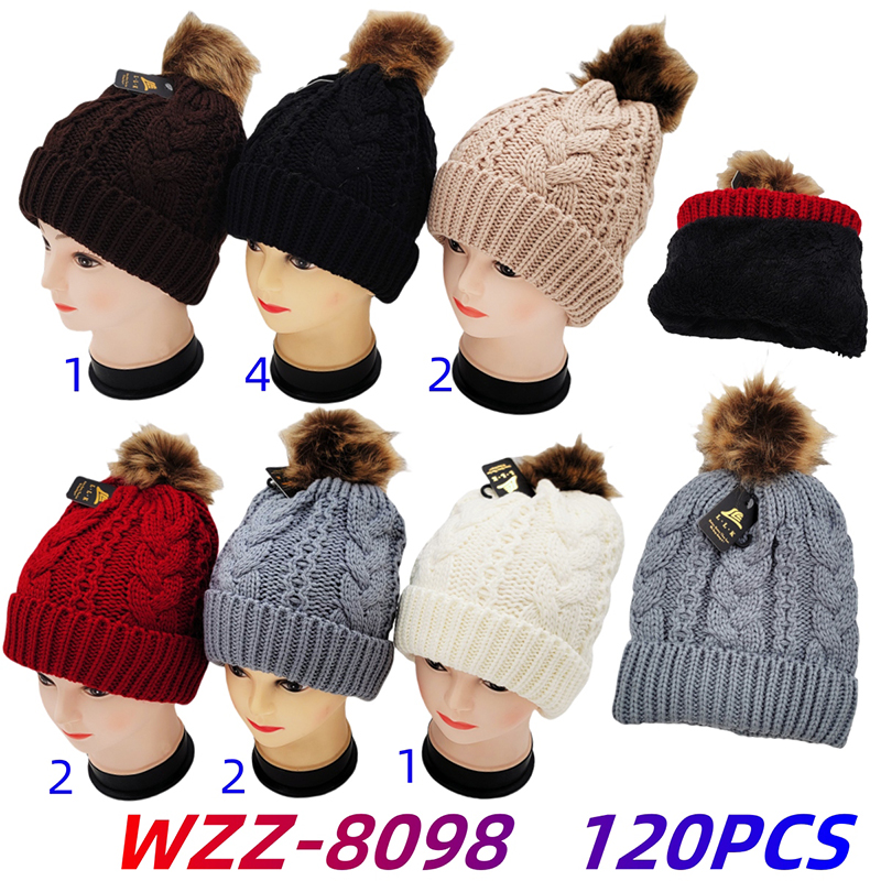 WZZ-8098 CS120